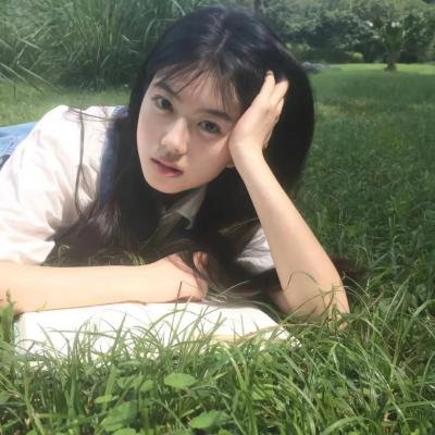 完美独裁海报