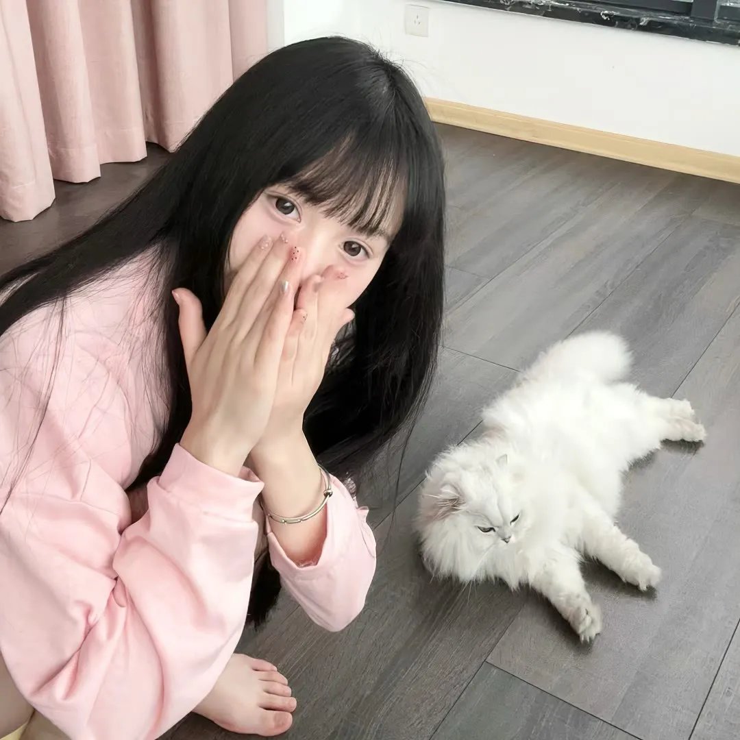 零之使魔3~三美姬的轮舞~